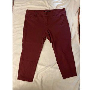 Torrid Pointe Dress Pants Burgundy 20R